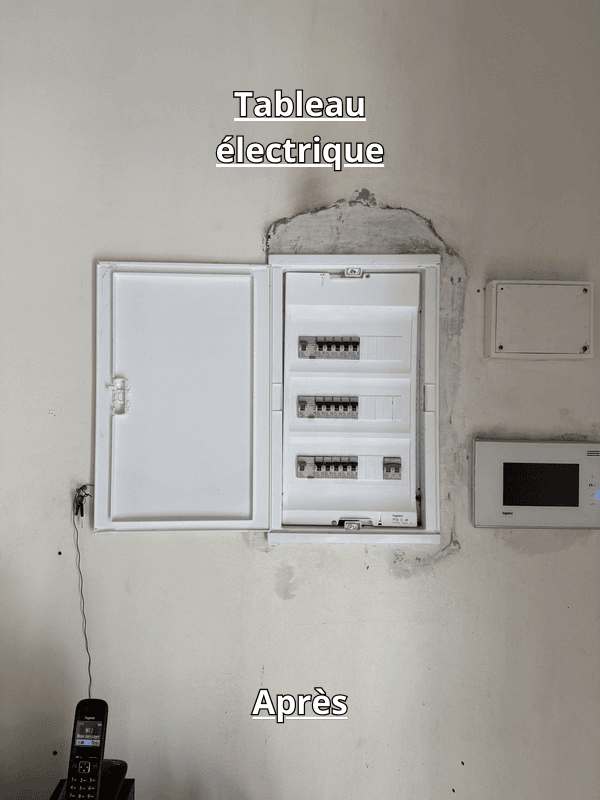 dépannage électrique Martinique